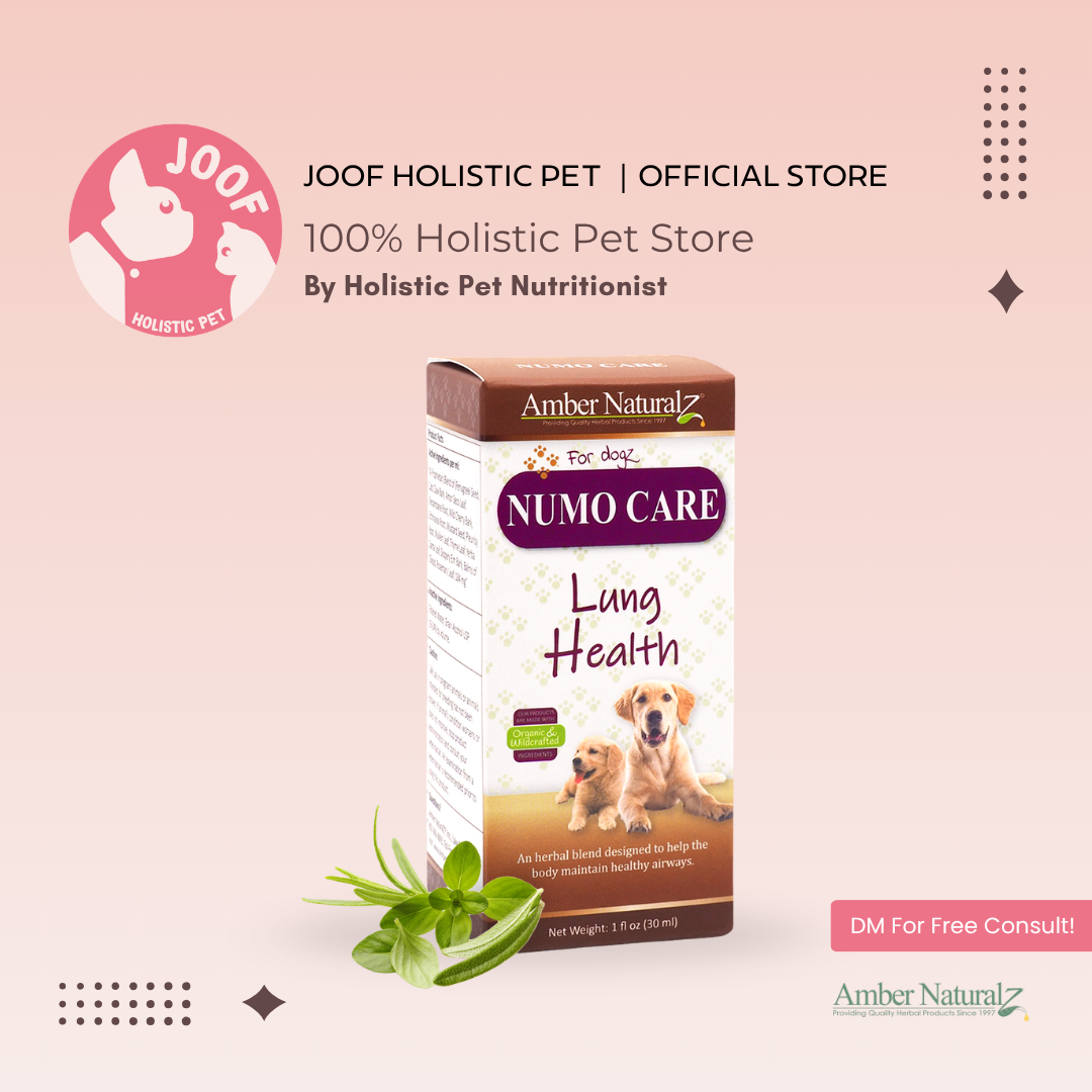 Amber Naturalz Numo Care (1oz) Lung Tracheal Respiratory Support Herbal Tincture for Dogs and Cats
