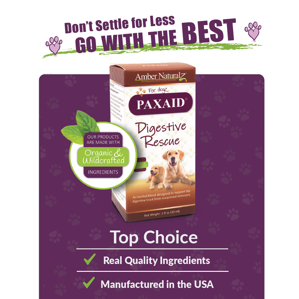 Amber Naturalz Paxaid Digestive Rescue (1oz) Parvo Diarrhea IBD Gastroenteritis Support Herbal Tincture for Dogs
