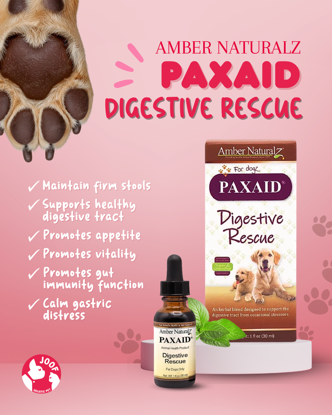 Amber Naturalz Paxaid Digestive Rescue (1oz) Parvo Diarrhea IBD Gastroenteritis Support Herbal Tincture for Dogs