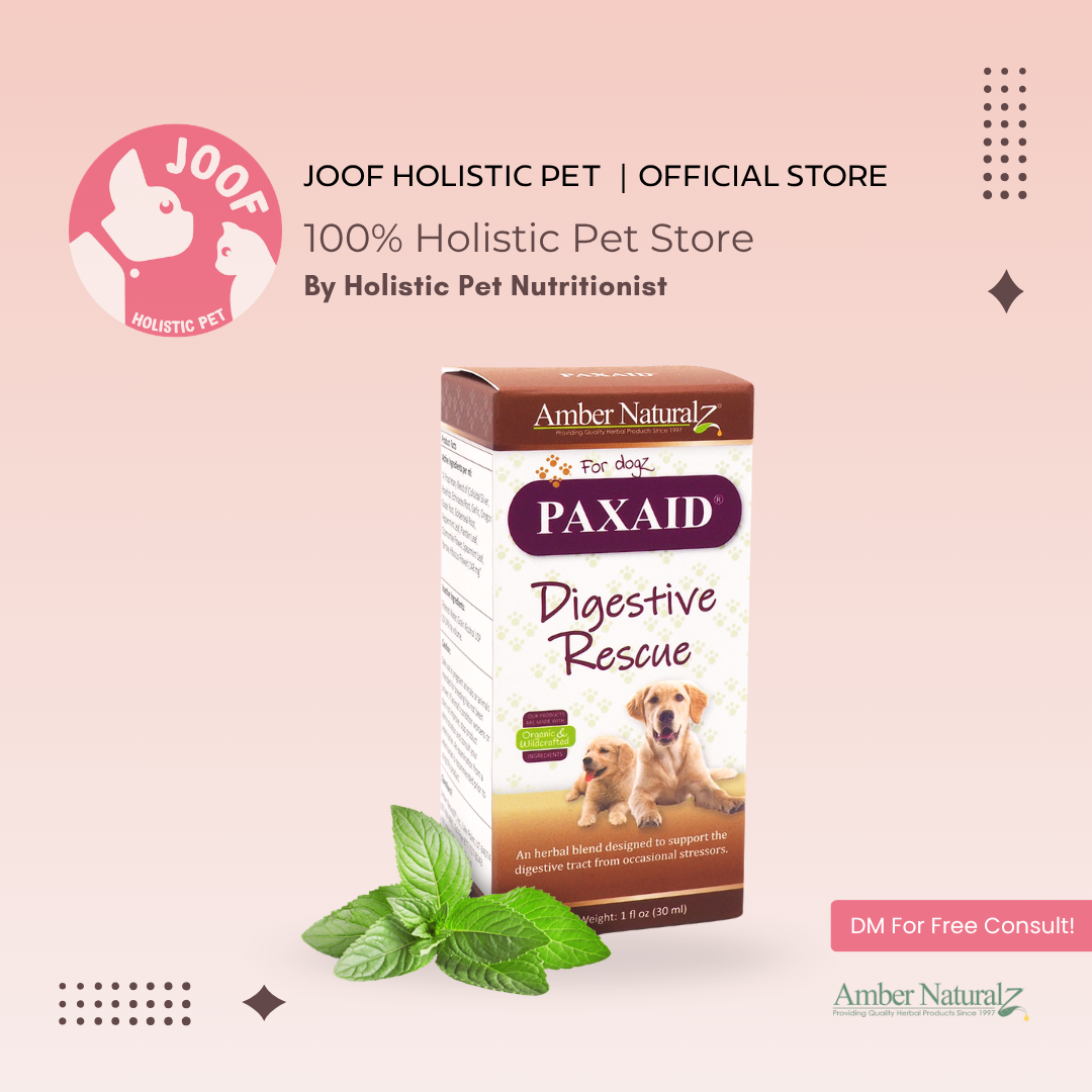 Amber Naturalz Paxaid Digestive Rescue (1oz) Parvo Diarrhea IBD Gastroenteritis Support Herbal Tincture for Dogs