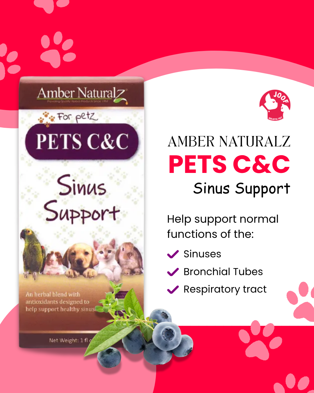 Amber Naturalz Pets C&C Sinus Support (1oz) Sinus Bronchial Respiratory Support Herbal Tincture for Dogs and Cats