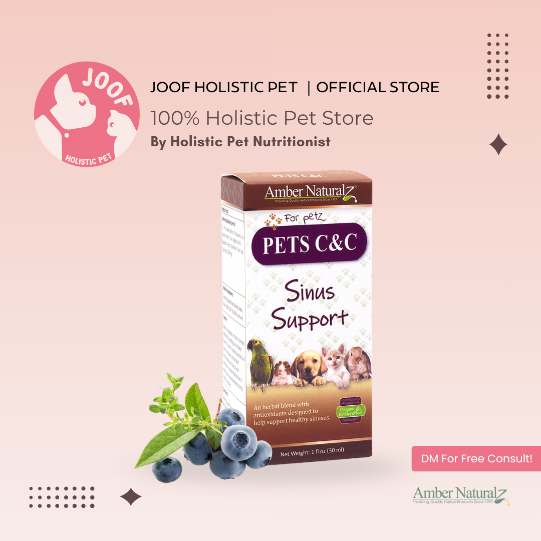 Amber Naturalz Pets C&C Sinus Support (1oz) Sinus Bronchial Respiratory Support Herbal Tincture for Dogs and Cats