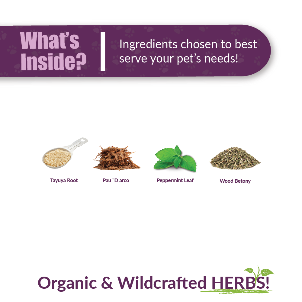 Amber Naturalz Pyntril Peaceful Mind (1oz) Stress Anxiety Calming Support Herbal Tincture for Dogs and Cats