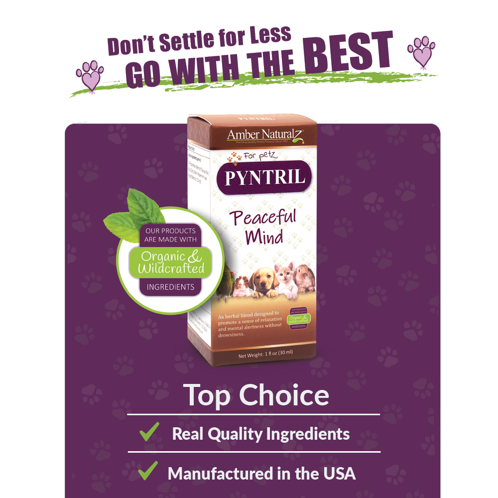 Amber Naturalz Pyntril Peaceful Mind (1oz) Stress Anxiety Calming Support Herbal Tincture for Dogs and Cats
