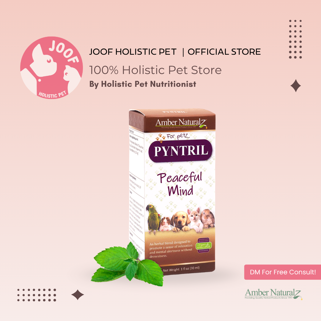 Amber Naturalz Pyntril Peaceful Mind (1oz) Stress Anxiety Calming Support Herbal Tincture for Dogs and Cats