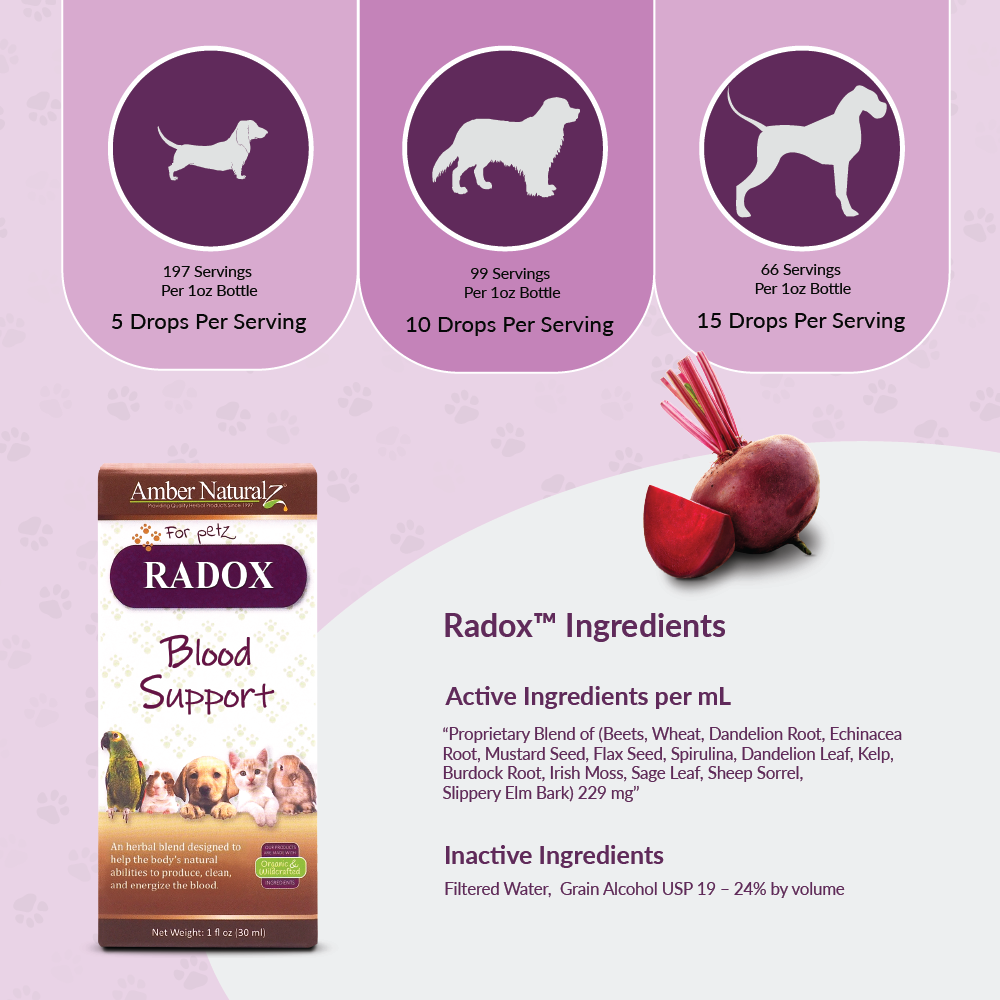 Amber Naturalz Radox Blood Support (1oz) Anemia Blood Bone Marrow Support Herbal Tincture for Dogs and Cats