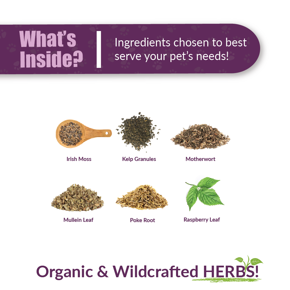 Amber Naturalz TYD Thyroid Balance (1oz) Thyroid Hormone Balance Support Herbal Tincture for Dogs and Cats