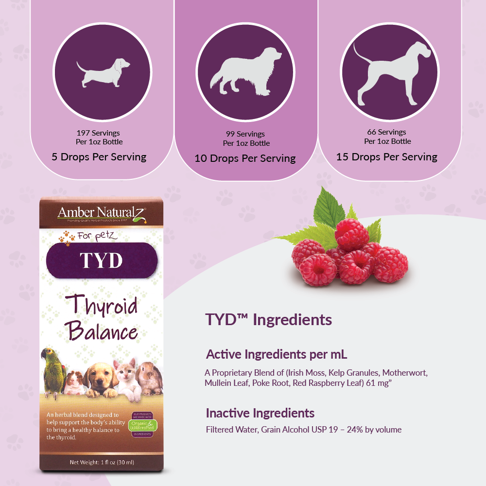 Amber Naturalz TYD Thyroid Balance (1oz) Thyroid Hormone Balance Support Herbal Tincture for Dogs and Cats