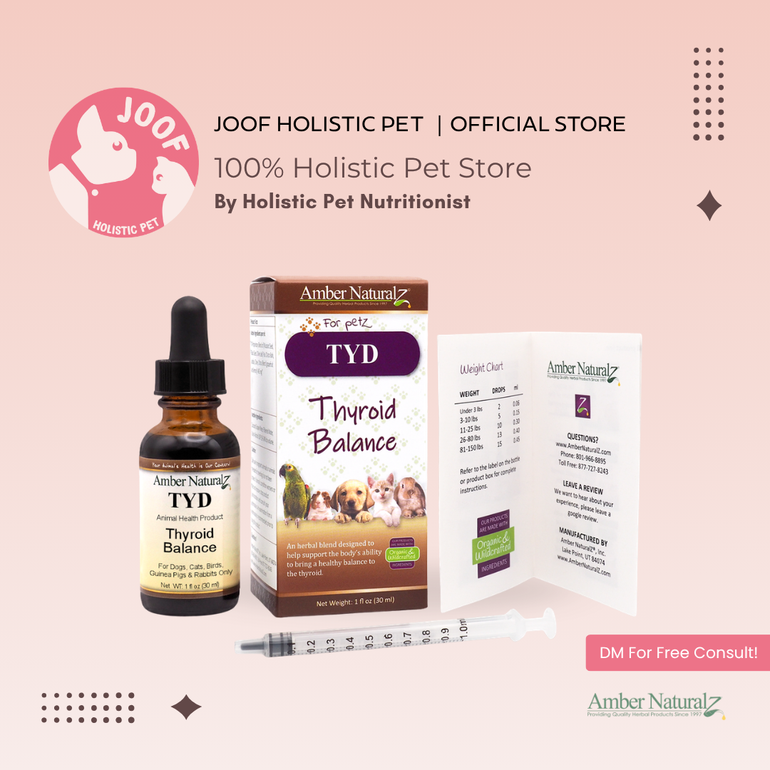 Amber Naturalz TYD Thyroid Balance (1oz) Thyroid Hormone Balance Support Herbal Tincture for Dogs and Cats