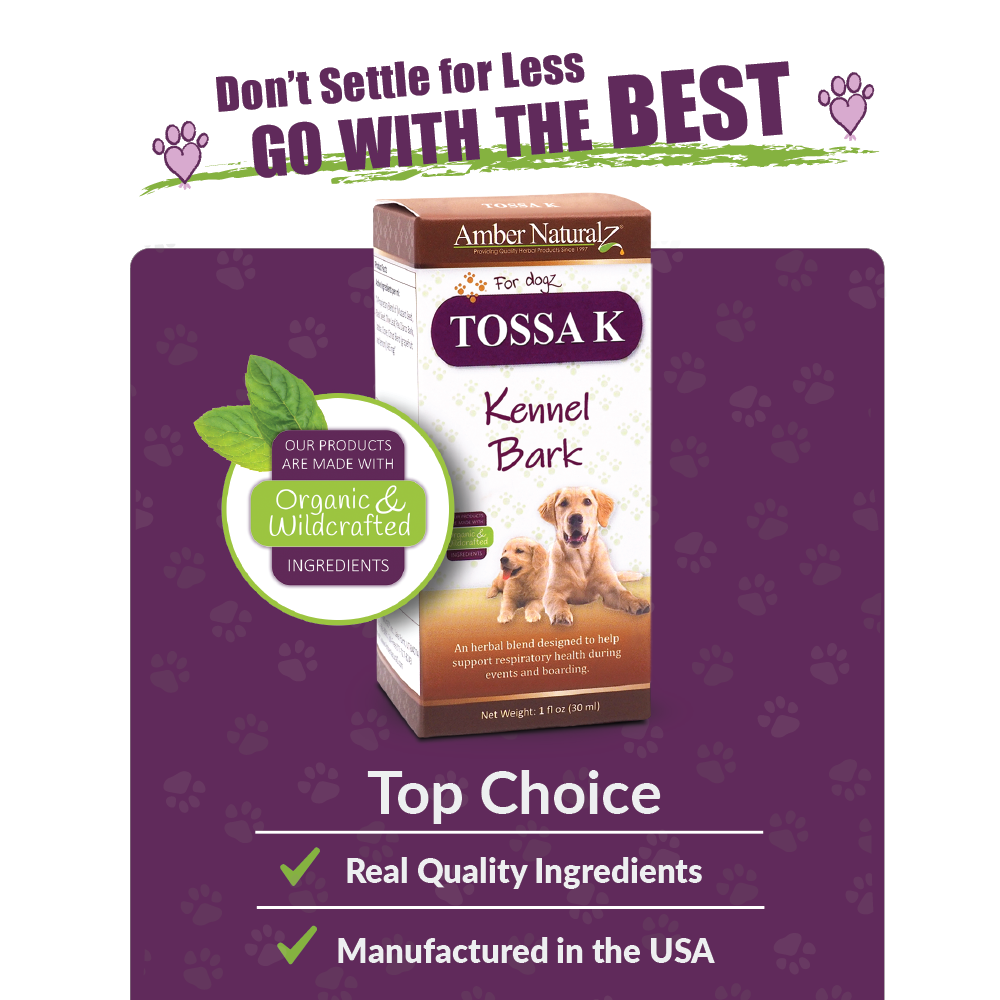 Amber Naturalz Tossa K Kennel Bark (1oz) Kennel Cough Respiratory Support Herbal Tincture for Dogs