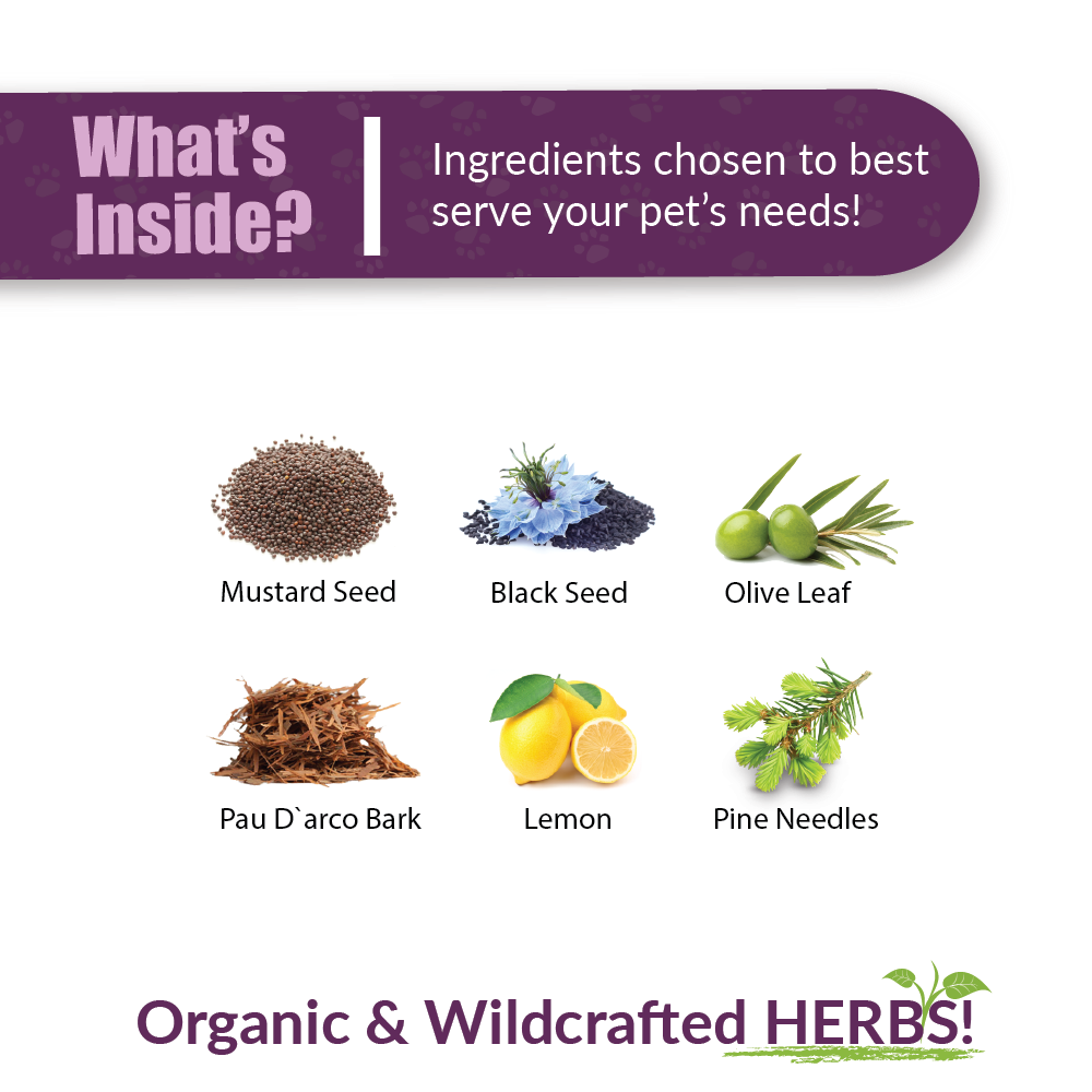 Amber Naturalz UTR Urinary Tract Support (1oz) UTI Bladder Kidney Support Herbal Tincture for Dogs and Cats