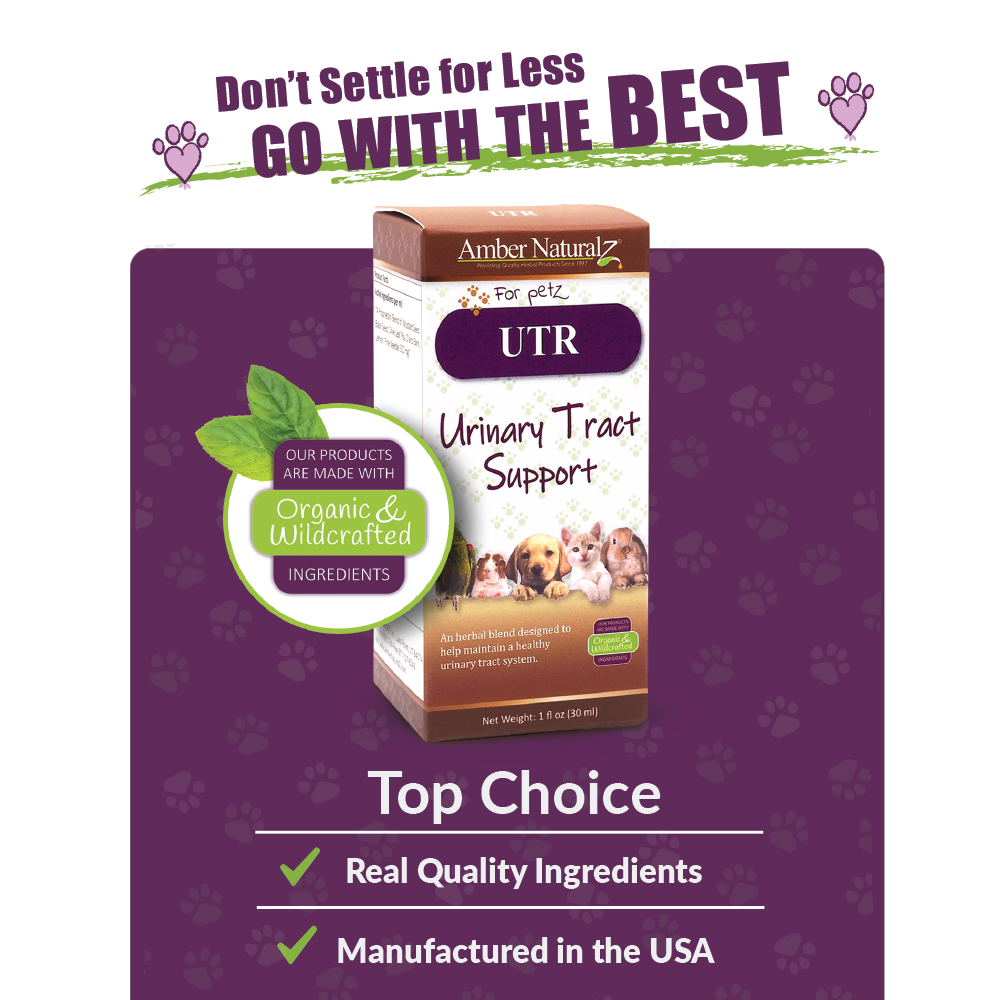 Amber Naturalz UTR Urinary Tract Support (1oz) UTI Bladder Kidney Support Herbal Tincture for Dogs and Cats