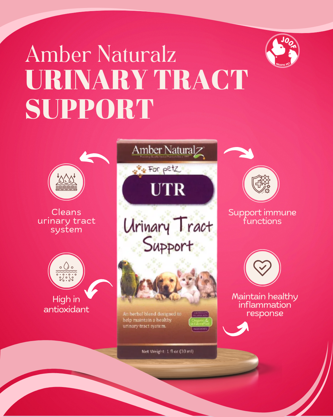 Amber Naturalz UTR Urinary Tract Support (1oz) UTI Bladder Kidney Support Herbal Tincture for Dogs and Cats