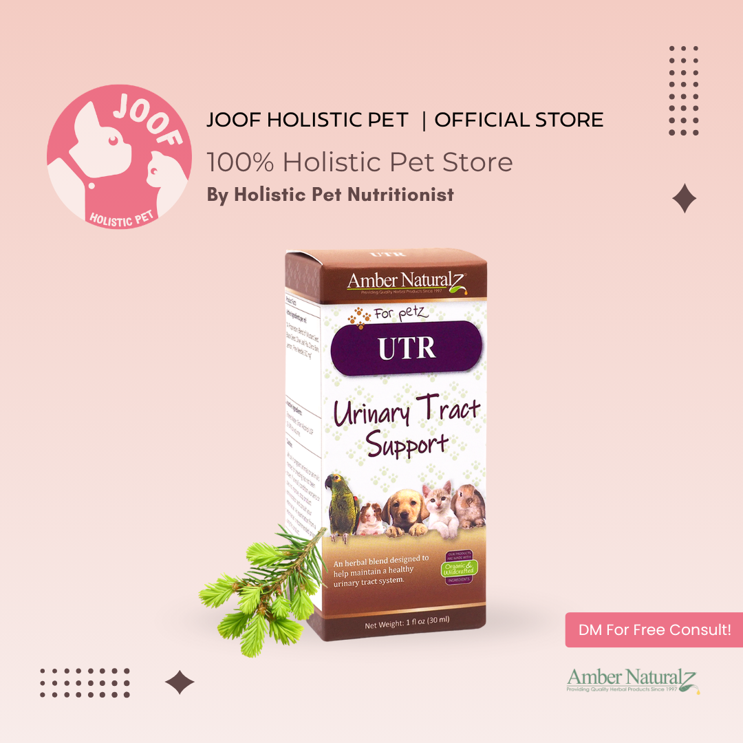 Amber Naturalz UTR Urinary Tract Support (1oz) UTI Bladder Kidney Support Herbal Tincture for Dogs and Cats