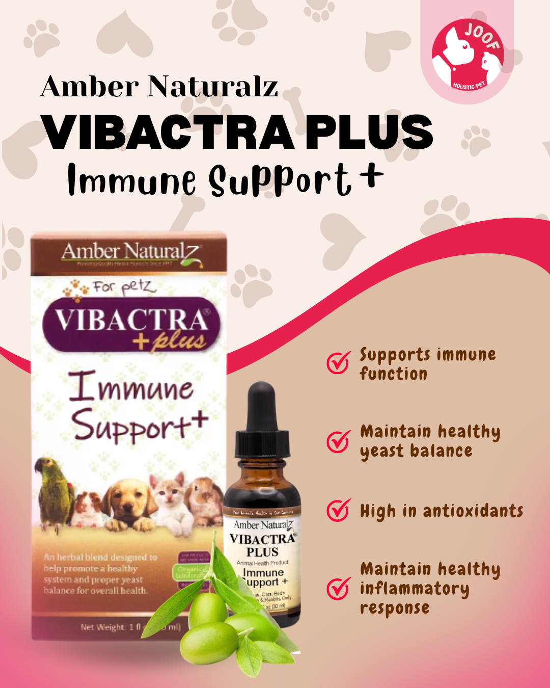 Amber Naturalz Vibactra Plus (1oz) Yeast Infection Immune Support Herbal Tincture for Dogs and Cats