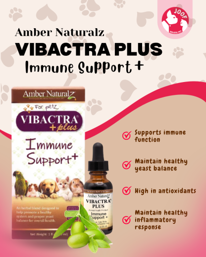 Amber Naturalz Vibactra Plus (1oz) Yeast Infection Immune Support Herbal Tincture for Dogs and Cats