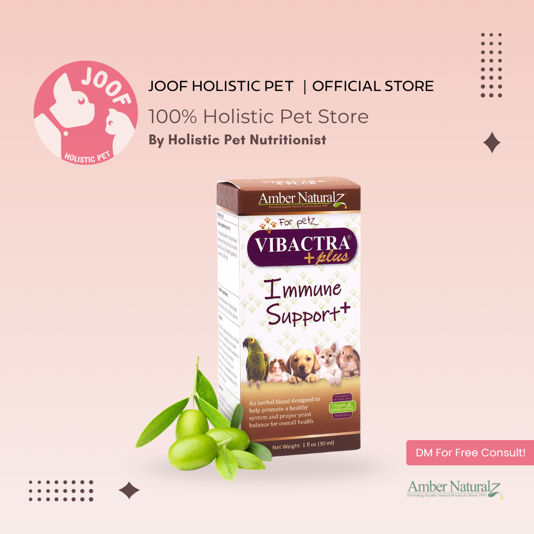 Amber Naturalz Vibactra Plus (1oz) Yeast Infection Immune Support Herbal Tincture for Dogs and Cats