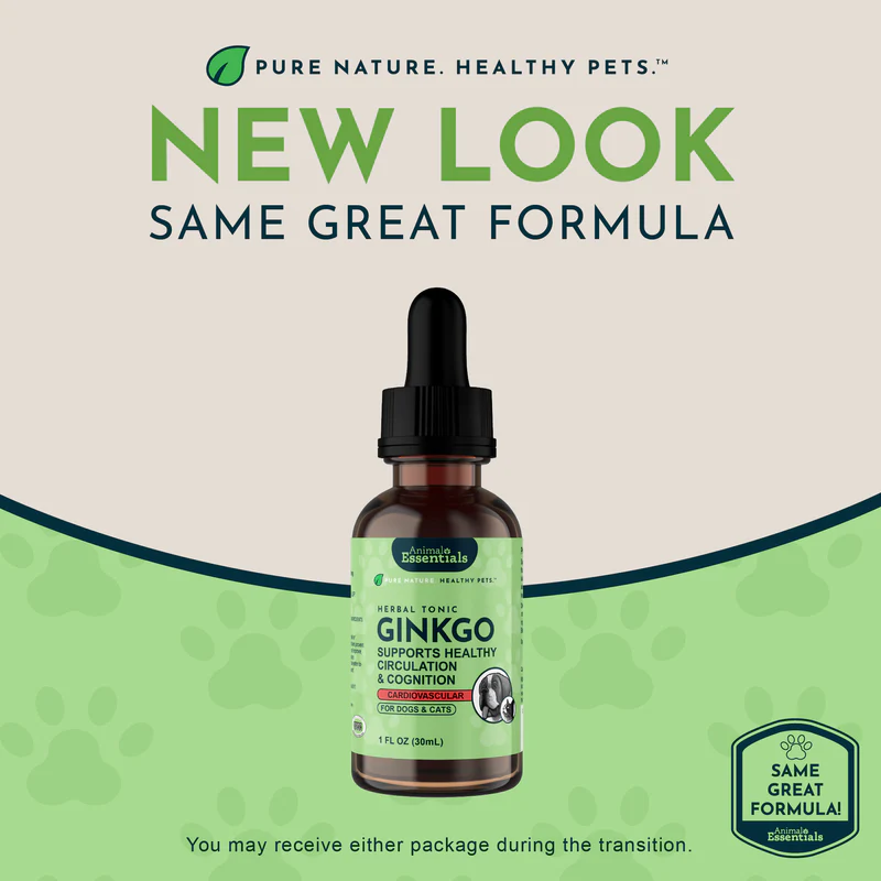 Animal Essentials Ginkgo (1oz) Cognitive Circulation Cardiovascular Support Herbal Tincture Organic for Dogs and Cats