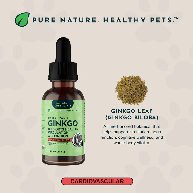 Animal Essentials Ginkgo (1oz) Cognitive Circulation Cardiovascular Support Herbal Tincture Organic for Dogs and Cats