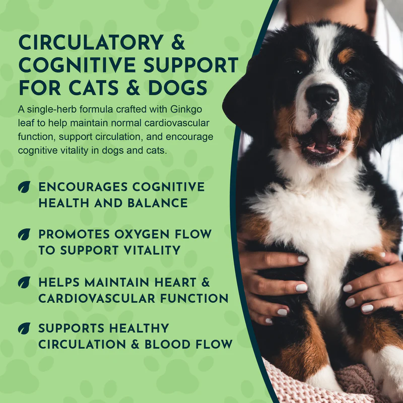 Animal Essentials Ginkgo (1oz) Cognitive Circulation Cardiovascular Support Herbal Tincture Organic for Dogs and Cats