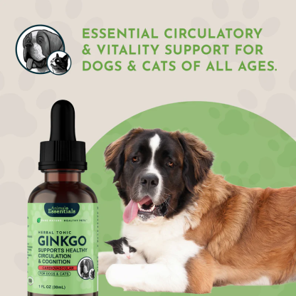 Animal Essentials Ginkgo (1oz) Cognitive Circulation Cardiovascular Support Herbal Tincture Organic for Dogs and Cats