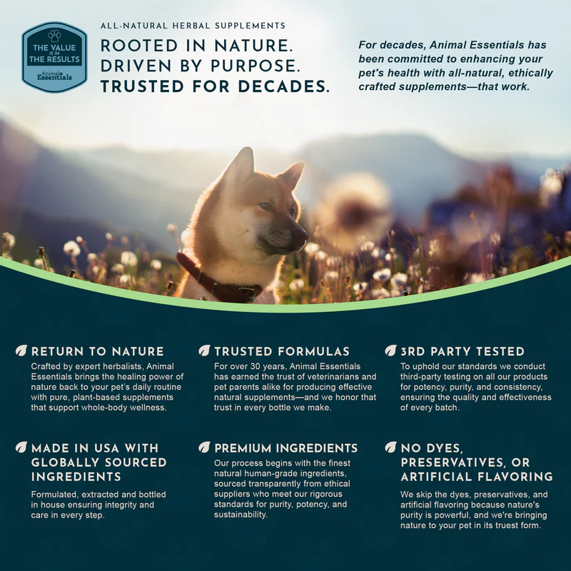 Animal Essentials Ginkgo (1oz) Cognitive Circulation Cardiovascular Support Herbal Tincture Organic for Dogs and Cats