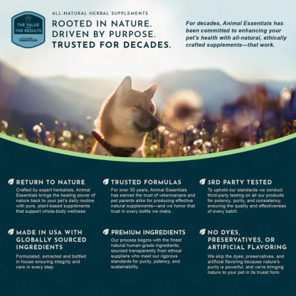 Animal Essentials Ginkgo (1oz) Cognitive Circulation Cardiovascular Support Herbal Tincture Organic for Dogs and Cats