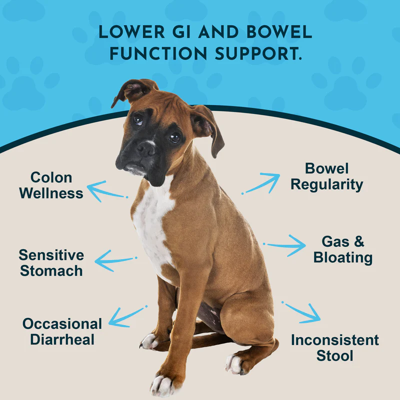 Animal Essentials Colon Rescue (30g) Diarrhea IBD Digestive Support Herbal Powder Organic for Dogs and Cats