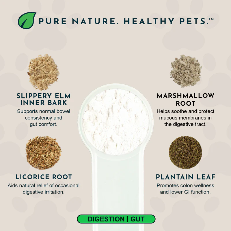 Animal Essentials Colon Rescue (30g) Diarrhea IBD Digestive Support Herbal Powder Organic for Dogs and Cats