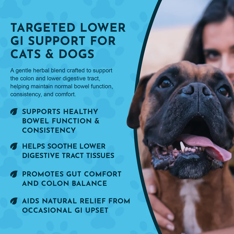 Animal Essentials Colon Rescue (30g) Diarrhea IBD Digestive Support Herbal Powder Organic for Dogs and Cats