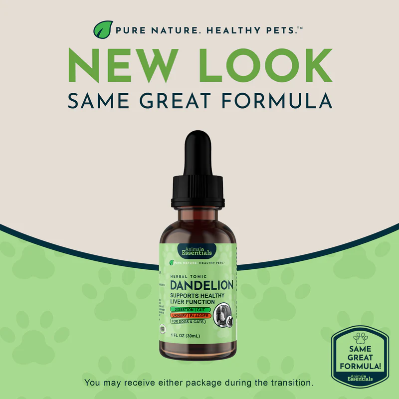 Animal Essentials Dandelion (1oz) Liver Kidney Digestive Support Herbal Tincture Organic for Dogs and Cats