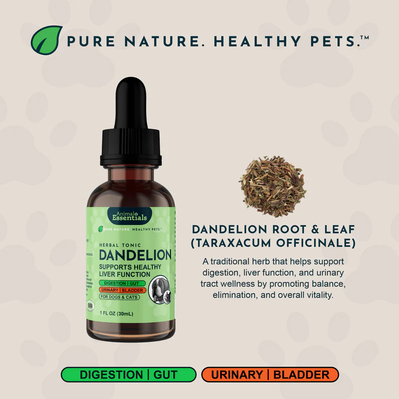 Animal Essentials Dandelion (1oz) Liver Kidney Digestive Support Herbal Tincture Organic for Dogs and Cats