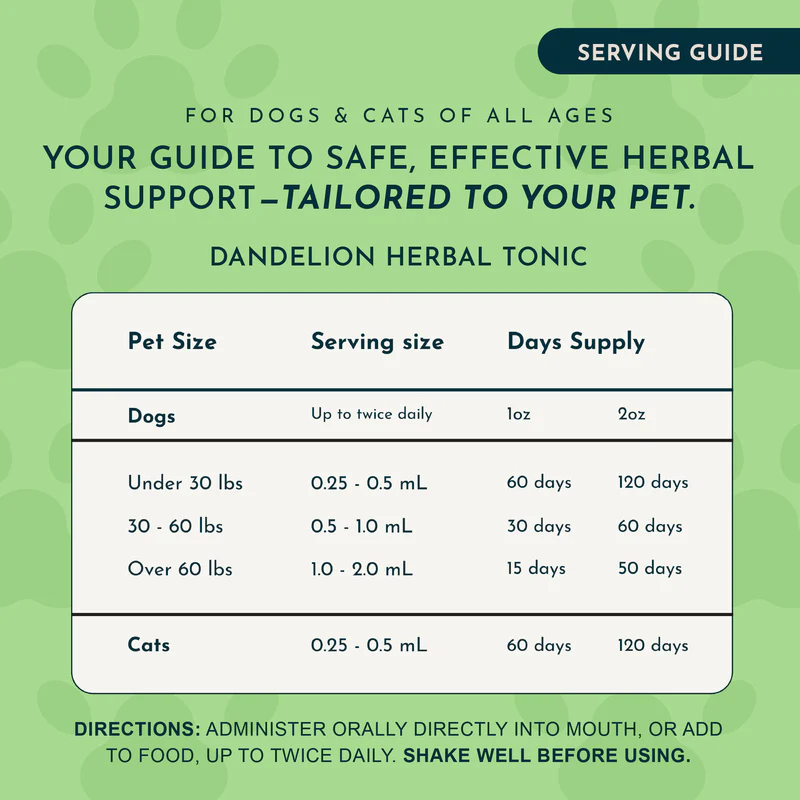Animal Essentials Dandelion (1oz) Liver Kidney Digestive Support Herbal Tincture Organic for Dogs and Cats