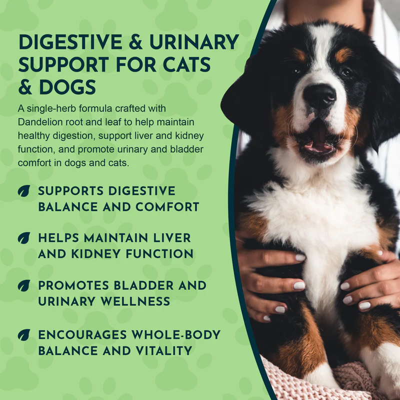 Animal Essentials Dandelion (1oz) Liver Kidney Digestive Support Herbal Tincture Organic for Dogs and Cats