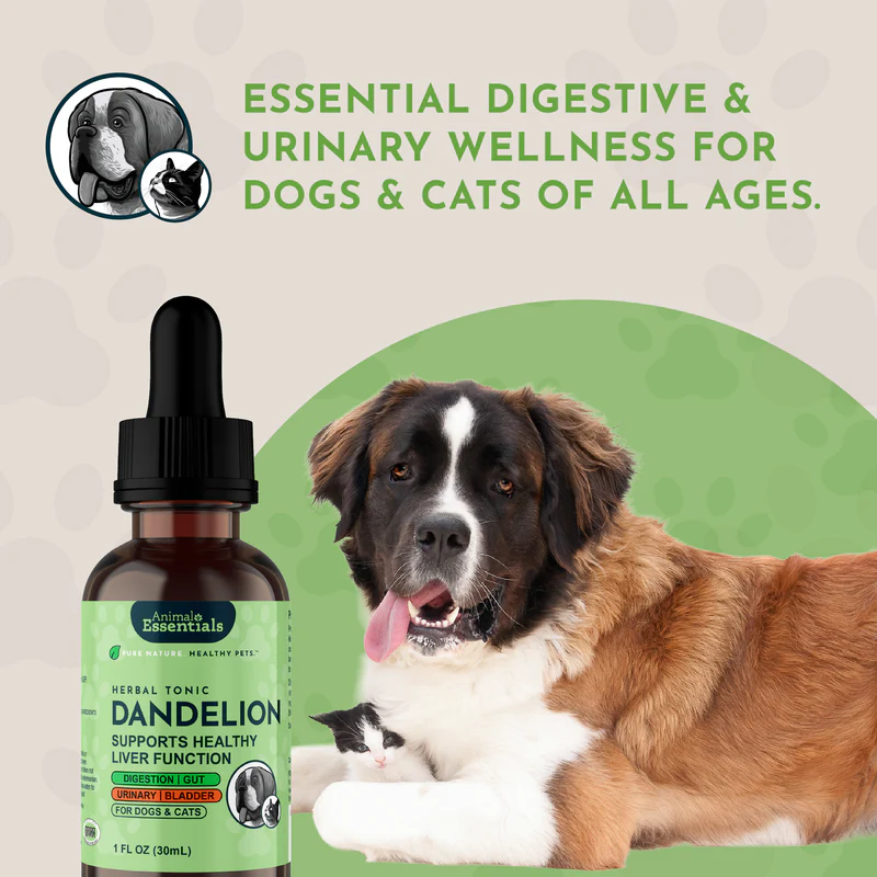 Animal Essentials Dandelion (1oz) Liver Kidney Digestive Support Herbal Tincture Organic for Dogs and Cats