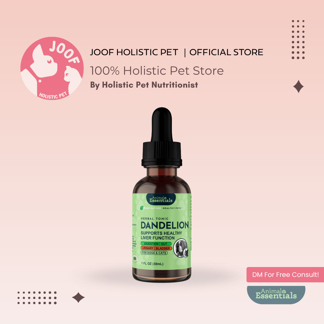 Animal Essentials Dandelion (1oz) Liver Kidney Digestive Support Herbal Tincture Organic for Dogs and Cats
