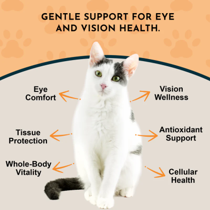 Animal Essentials Eye Defense (1oz) Eye Vision Support Herbal Tincture Organic for Dogs and Cats