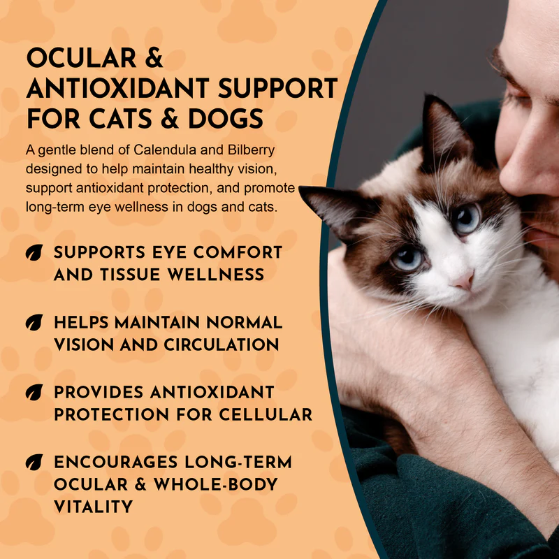 Animal Essentials Eye Defense (1oz) Eye Vision Support Herbal Tincture Organic for Dogs and Cats