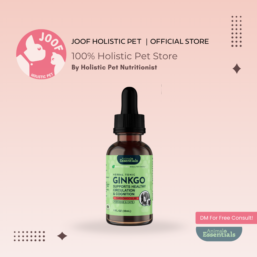 Animal Essentials Ginkgo (1oz) Cognitive Circulation Cardiovascular Support Herbal Tincture Organic for Dogs and Cats
