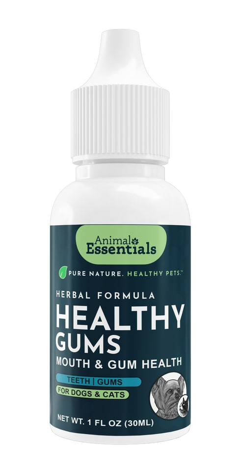 Animal Essentials Healthy Gum (1oz) Oral Dental Gum Health Support Herbal Tincture Organic for Dogs and Cats