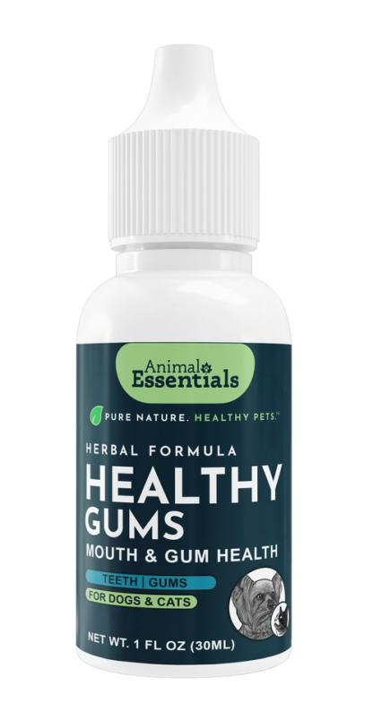 Animal Essentials Healthy Gum (1oz) Oral Dental Gum Health Support Herbal Tincture Organic for Dogs and Cats