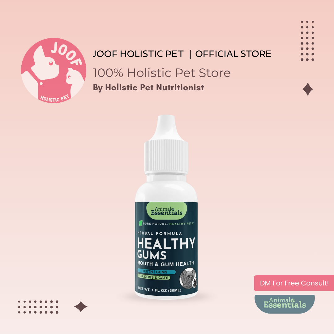 Animal Essentials Healthy Gum (1oz) Oral Dental Gum Health Support Herbal Tincture Organic for Dogs and Cats