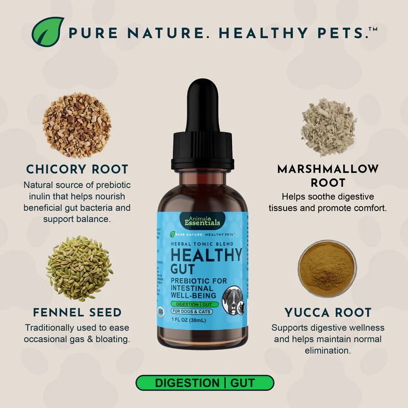 Animal Essentials Healthy Gut (1oz) Digestive Prebiotic Gut Support Herbal Tincture Organic for Dogs and Cats