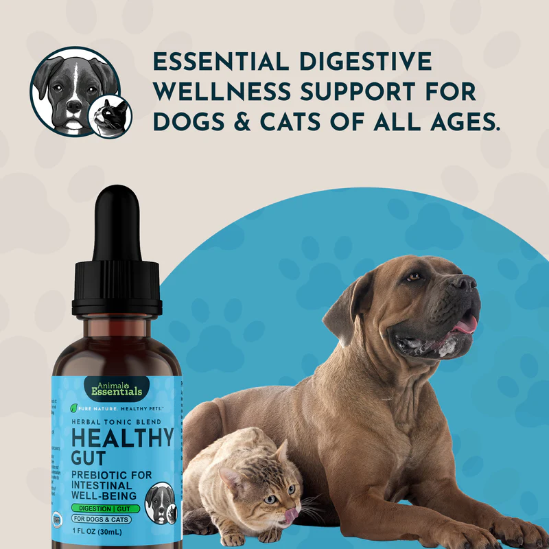 Animal Essentials Healthy Gut (1oz) Digestive Prebiotic Gut Support Herbal Tincture Organic for Dogs and Cats