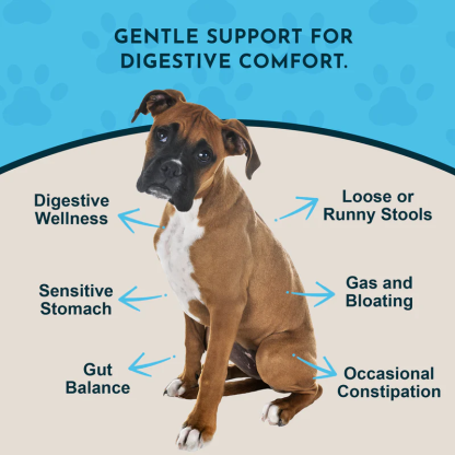 Animal Essentials Healthy Gut (1oz) Digestive Prebiotic Gut Support Herbal Tincture Organic for Dogs and Cats
