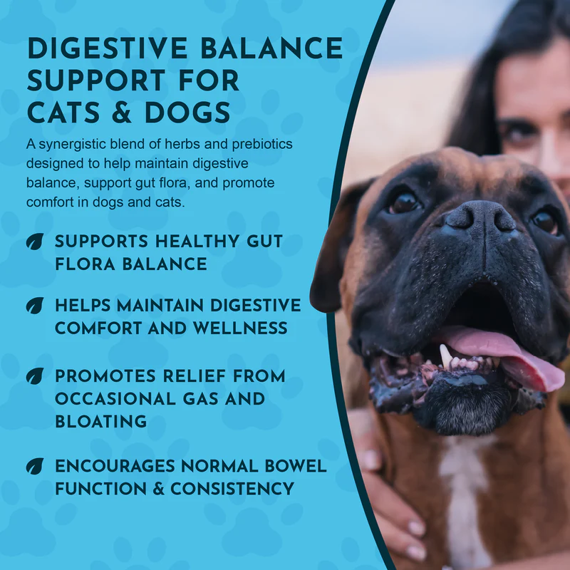 Animal Essentials Healthy Gut (1oz) Digestive Prebiotic Gut Support Herbal Tincture Organic for Dogs and Cats