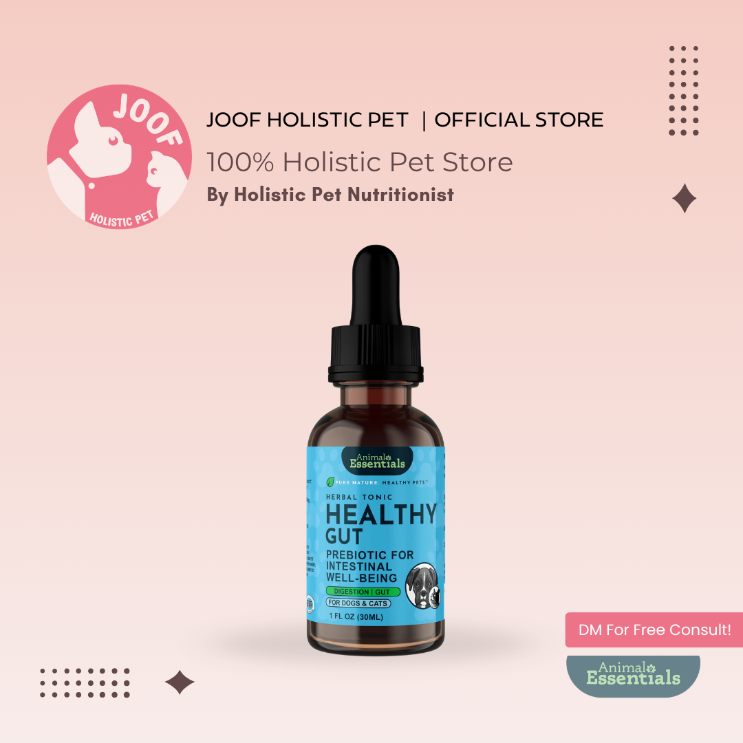 Animal Essentials Healthy Gut (1oz) Digestive Prebiotic Gut Support Herbal Tincture Organic for Dogs and Cats