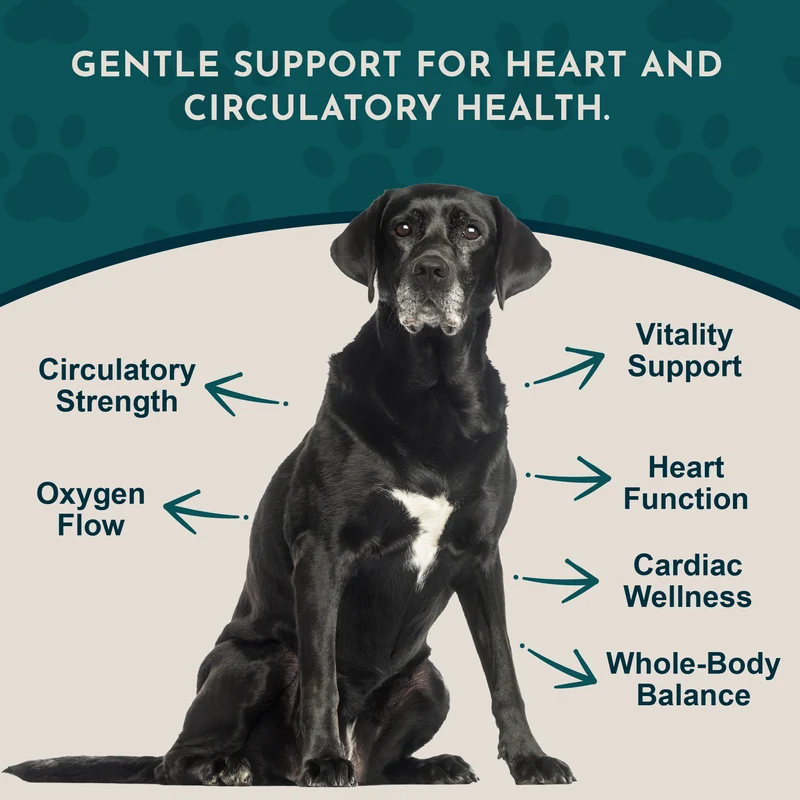 Animal Essentials Heart Health (1oz) Heart Cardiovascular Antioxidant Support Herbal Tincture Organic for Dogs and Cats