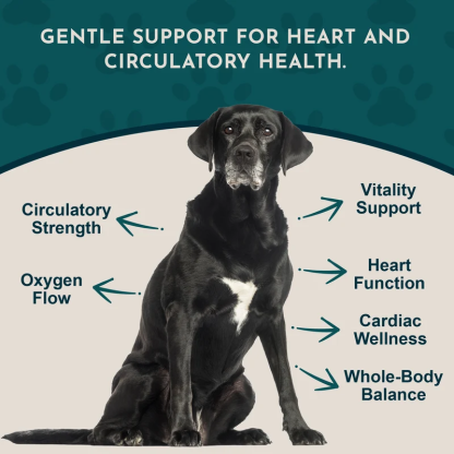 Animal Essentials Heart Health (1oz) Heart Cardiovascular Antioxidant Support Herbal Tincture Organic for Dogs and Cats