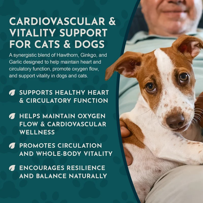 Animal Essentials Heart Health (1oz) Heart Cardiovascular Antioxidant Support Herbal Tincture Organic for Dogs and Cats
